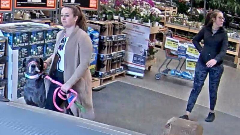 Las autoridades lograron identificar a la dueña del perro con la ayuda del público tras...