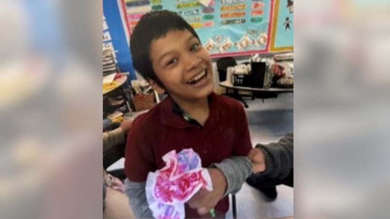 Perros de búsqueda de cadáveres se han unido a la búsqueda en Luisiana del niño Bryan Vásquez,...