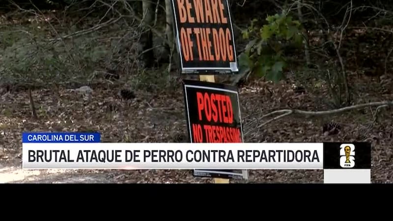 Repartidora de Amazon brutalmente atacada por un perro justo cuando dejaba un paquete. Ocurrió...