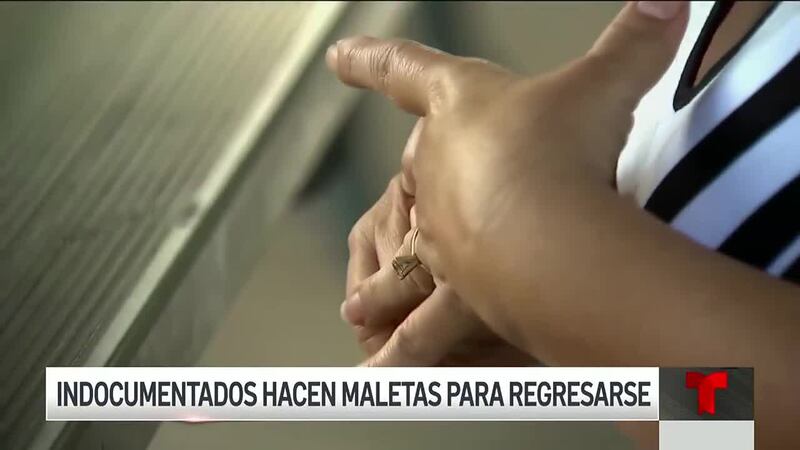 "Dejo lo más valioso en EE.UU.: mis hijos". Hispana busca autodeportarse por miedo a ser detenida